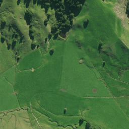 Satellite imagery of 1870, NZ