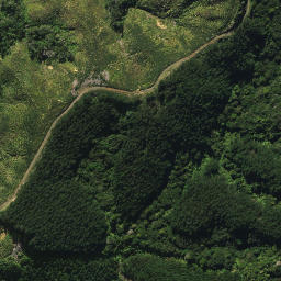 Satellite imagery of 2053, NZ