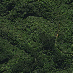 Satellite imagery of 2053, NZ