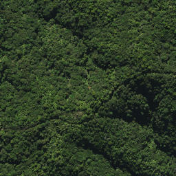 Satellite imagery of 2053, NZ