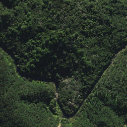 Satellite imagery of B2 NO 2, NZ