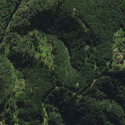 Satellite imagery of B2 NO 2, NZ