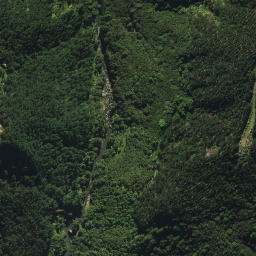Satellite imagery of B2 NO 2, NZ
