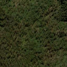Satellite imagery of Mount Haig, AU