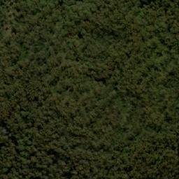 Satellite imagery of Mount Haig, AU