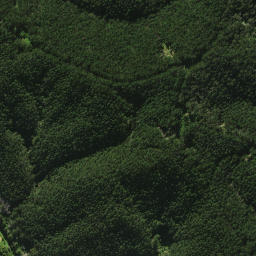 Satellite imagery of 30 (Purua SD), NZ