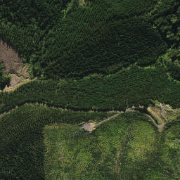 Satellite imagery of 2053, NZ