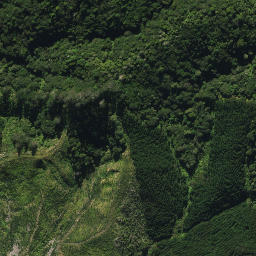Satellite imagery of 2053, NZ
