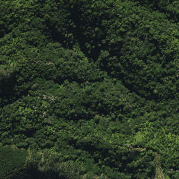 Satellite imagery of 2053, NZ