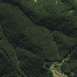 Satellite imagery of B2 NO 2, NZ