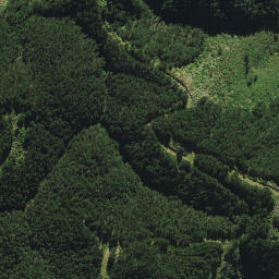 Satellite imagery of B2 NO 2, NZ