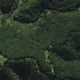 Satellite imagery of B2 NO 2, NZ