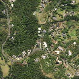 Satellite imagery of Whau Point, NZ