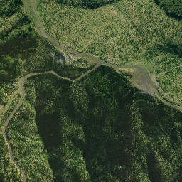 Satellite imagery of 1961, NZ