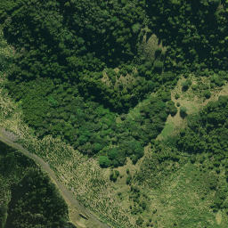Satellite imagery of 1961, NZ