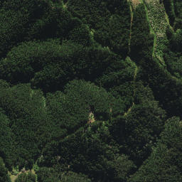 Satellite imagery of B2 NO 2, NZ