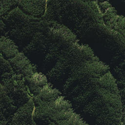 Satellite imagery of B2 NO 2, NZ
