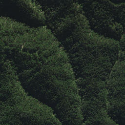 Satellite imagery of B2 NO 2, NZ
