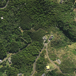 Satellite imagery of Whau Point, NZ