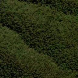 Satellite imagery of Milo Trig Station, AU