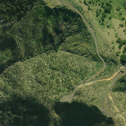 Satellite imagery of 1961, NZ