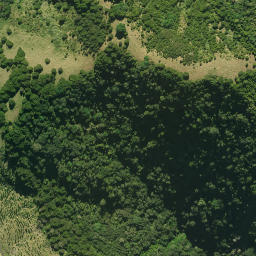 Satellite imagery of 1961, NZ