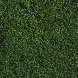 Satellite imagery of Maxwells Cottage, NZ