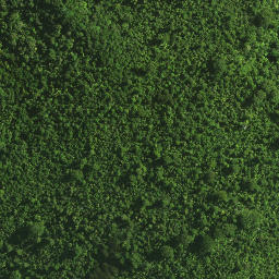 Satellite imagery of Maxwells Cottage, NZ