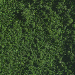 Satellite imagery of Maxwells Cottage, NZ