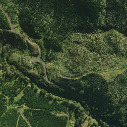 Satellite imagery of 1961, NZ