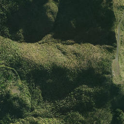 Satellite imagery of 1961, NZ