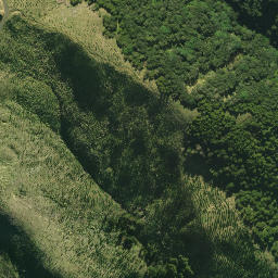 Satellite imagery of 1961, NZ