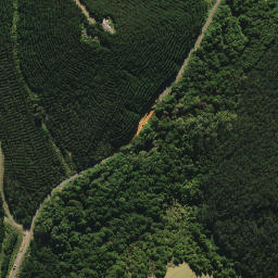 Satellite imagery of 2052, NZ