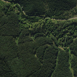 Satellite imagery of 2052, NZ