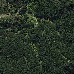 Satellite imagery of 2052, NZ