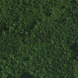 Satellite imagery of Maxwells Cottage, NZ