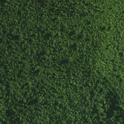 Satellite imagery of Maxwells Cottage, NZ