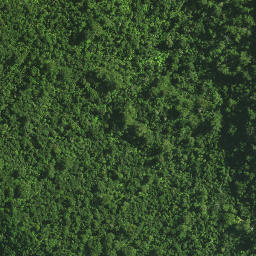 Satellite imagery of Maxwells Cottage, NZ
