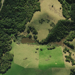 Satellite imagery of 2052, NZ