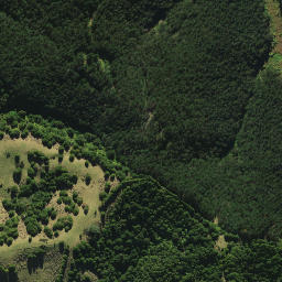 Satellite imagery of 2052, NZ