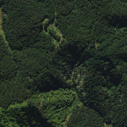 Satellite imagery of 2052, NZ