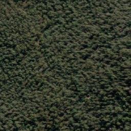 Satellite imagery of Coronet Peak, AU