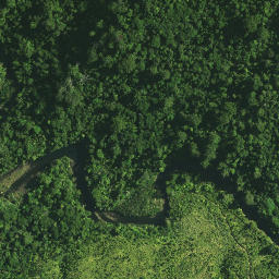 Satellite imagery of Maxwells Cottage, NZ