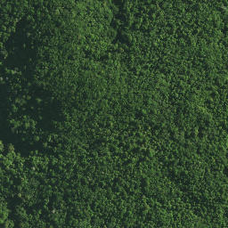 Satellite imagery of TAPUKETARU, NZ