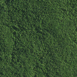 Satellite imagery of TAPUKETARU, NZ