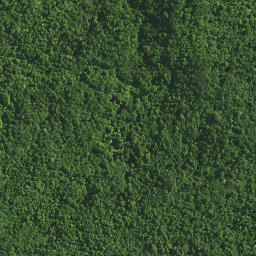 Satellite imagery of TAPUKETARU, NZ
