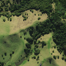 Satellite imagery of 2052, NZ