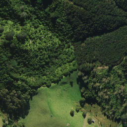 Satellite imagery of 2052, NZ