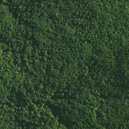 Satellite imagery of TAPUKETARU, NZ