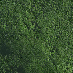 Satellite imagery of TAPUKETARU, NZ